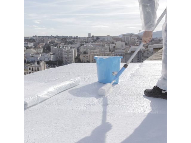 resine-polyurethane-toit-plat